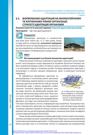 Тема
5.
АДАПТАЦІЇ
12
Виживають не найсильніші й навіть не найрозумніші особини,
а ті, які краще за всіх пристосовуються до змін.
Ч. Дарвін
§ 3. 	 ФОРМУВАННЯ АДАПТАЦІЙ НА МОЛЕКУЛЯРНОМУ
ТА КЛІТИННОМУ РІВНЯХ ОРГАНІЗАЦІЇ.
СТРАТЕГІЇ АДАПТАЦІЙ ОРГАНІЗМІВ
Основні поняття й ключові терміни: Стратегії адаптацій організмів.
Пригадайте! 	 Що таке адаптаціогенез?
	Поміркуйте!
Температура арктичних й антарктичних
вод може бути нижче від –2  °С. При цьому поляр-
ні види риб (як наприклад, нототенія мармурова
(Notothenia rossii)) не перетворюються на шматок льо-
ду: вони виробляють особливі білки, що гальмують за-
мерзання рідини. Як формувалася ця адаптація?
	ЗМІСТ
	 Які молекулярні та клітинні механізми адаптацій?
Найзагальнішою спільною особливістю адаптацій є механізм їхнього виник-
нення: пристосувальні ознаки формуються впродовж біологічної еволюції зав-
дяки природному добору особин, які мають ознаку в найбільш вираженій формі,
а не виникають одразу в готовому вигляді. Основою формування адаптацій є
молекулярні та клітинні процеси збереження, зміни та реалізації генетичної
інформації.
Як відбувається формування адаптацій на
молекулярному й клітинному рівнях організації
життя? Відповідь проілюструємо на конкретному
прикладі адаптації антарктичних риб до низької
температури води. У деяких предкових особин
сучасних нототеній відбулася дуплікація гена,
що кодує трипсин. Ця хромосомна мутація при-
звела до виникнення двох копій гена. Після цьо-
го в його новій копії відбулась генна «корисна»
мутація: в її центрі декілька разів продублювався
фрагмент, що кодує три амінокислоти. Результа-
том таких перетворень став ген з інформацією про інший білок. Так виникли пер-
винні глікопротеїни крові риб, які перешкоджають кристалізації льоду. Вихідна
популяція отримала переваги й більше шансів на виживання. Згодом у процесі
еволюції цей ген ще багаторазово дублювався і виникали різні білки-антифризи
у різних видів риб родини Нототенієві.
Таким чином, молекулярною основою адаптацій є синтез нового типу макро-
молекул унаслідок мутацій та рекомбінацій генів. Окрім цього, молекулярними й
клітинними механізмами адаптацій є: 1) збільшення або зменшення концентрації
білків унаслідок змін у їх клітинному синтезі; 2) приєднання до макромолекул
Іл. 6. Кристалічна структура
білка-антифризу зі зв’язаними
молекулами води (червоні
кульки) та дисульфідними
зв’язками (зелені містки)
Право для безоплатного розміщення підручника в мережі Інтернет має
Міністерство освіти і науки України http://mon.gov.ua/ та Інститут модернізації змісту освіти https://imzo.gov.ua
 