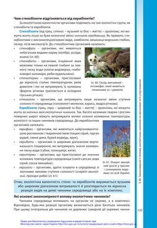 137
§
36.
Закономірності
впливу
екологічних
чинників
на
організми
та
їх
угруповання
Чим стенобіонти відрізняються від еврибіонтів?
За екологічною валентністю організми поділяють на такі екологічні групи, як
стенобінти та еврибіонти.
Стенобіонти (від грец. стенос – вузький та біос – життя) – організми, які мо-
жуть жити лише за дуже незначної зміни чинників середови­
ща. Як правило, сте-
нобіонтами є високоспеціалізовані види, симбіонти, мешканці морських глибин,
печер, лісів високогір’я. До стенобіонтних організмів належать:
•	 стенофаги –  організми, які живляться
небагатьма видами корму (колібрі, осоїди,
коала) (іл. 60);
•	 стенобати –  організми, існування яких
можливе тільки на певній глибині за пев-
ного тиску води (клопи-водомірки, глибо-
ководні кальмари, риби-вудильники);
•	 стенотерми  – організми, пристосовані
до відносно сталих температурних умов
довкілля і які не витримують їх коливань
(форель річкова трапляється в холодних
гірських річках);
•	 стеногали – організми, що витримують лише незначні зміни ступеня
солоності середовища (головоногі молюски, карась, видра річкова).
Еврибіонти (грец. еври – широкий та біос – життя) – організми, які можуть
жити за значних змін екологічних чинників. Так, багато наземних тварин і рослин
помірних широт можуть витримувати великі сезонні коливання температури,
вологості та інших чинників середовища. До еврибіонтних
організмів належать:
•	 еврифаги – організми, які живляться найрізноманітні-
шою рослинною і тваринною їжею (пацюк сірий, тарган
рудий, свиня дика, бурий ведмідь, крук);
•	 еврибати –  організми із широким діапазоном верти-
кального поширення, які витримують значні коливан-
ня тиску води (губки, голкошкірі, кити);
•	 евритерми –  організми, що пристосовані до значних
коливань температури середовища (сокіл-сапсан, вовк
сірий, сосна звичайна);
•	 евригали – організми, здатні існувати в середовищі зі
значними змінами ступеня солоності (очерет звичай-
ний, прохідні риби) (іл. 61).
Отже, екологічна валентність стено- та еврибіонтів виражається вузьким
або широким діапазоном витривалості й розглядається як відносна
реакція видів на деякі чинники середовища або на їх комплекс.
Які основні закономірності впливу екологічних чинників?
Чинники середовища впливають на організм не окремо, а в комплексі.
Відповідно, будь-яка реакція організму визначається дією багатьох чинників.
При цьому інтегральна дія чинників не дорівнює сумарній дії окремих чинни-
Іл. 61. Очерет звичай-
ний (росте у прісних
і солонуватих водо-
ймах по всій Україні)
Іл. 60. Осоїд звичайний –
ентомофаг, який живиться
личинками ос і джмелів
Право для безоплатного розміщення підручника в мережі Інтернет має
Міністерство освіти і науки України http://mon.gov.ua/ та Інститут модернізації змісту освіти https://imzo.gov.ua
 