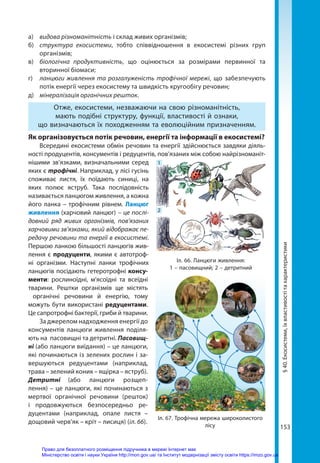153
а)	 видова різноманітність і склад живих організмів;
б)	 структура екосистеми, тобто співвідношення в екосистемі різних груп
організмів;
в)	 біологічна продуктивність, що оцінюється за розмірами первинної та
вторинної біомаси;
г)	 ланцюги живлення та розгалуженість трофічної мережі, що забезпечують
потік енергії через екосистему та швидкість кругообігу речовин;
д)	 мінералізація органічних решток.
Отже, екосистеми, незважаючи на свою різноманітність,
мають подібні структуру, функції, властивості й ознаки,
що визначаються їх походженням та еволюційним призначенням.
Як організовується потік речовин, енергії та інформації в екосистемі?
Всередині екосистеми обмін речовин та енергії здійснюється завдяки діяль-
ності продуцентів, консументів і редуцентів, пов’язаних між собою найрізноманіт-
нішими зв’язками, визначальними серед
яких є трофічні. Наприклад, у лісі гусінь
споживає листя, їх поїдають синиці, на
яких полює яструб. Така послідовність
називається ланцюгом живлення, а кожна
його ланка – трофічним рівнем. Ланцюг
живлення (харчовий ланцюг) – це послі-
довний ряд живих організмів, пов’язаних
харчовими зв’язками, який відображає пе-
редачу речовини та енергії в екосистемі.
Першою ланкою більшості ланцюгів жив-
лення є продуценти, якими є автотроф-
ні організми. Наступні ланки трофічних
ланцюгів посідають гетеротрофні консу-
менти: рослиноїдні, м’ясоїдні та всеїдні
тварини. Рештки організмів ще містять
органічні речовини й енергію, тому
можуть бути використані редуцентами.
Це сапротрофні бактерії, гриби й тварини.
За джерелом надходження енергії до
консументів ланцюги живлення поділя-
ють на пасовищні та детритні. Пасовищ­
ні (або ланцюги виїдання) – це ланцюги,
які починаються із зелених рослин і за-
вершуються редуцентами (наприклад,
трава – зелений коник – ящірка – яструб).
Детритні (або ланцюги розщеп­
лення) – це ланцюги, які починаються з
мертвої органічної речовини (решток)
і продовжуються безпосередньо ре-
дуцентами (наприклад, опале листя –
дощовий черв’як – кріт – лисиця) (іл. 66).
Іл. 66. Ланцюги живлення:
1 – пасовищний; 2 – детритний
1
2
§
40.
Екосистеми,
їх
властивості
та
характеристики
Іл. 67. Трофічна мережа широколистого
лісу
Право для безоплатного розміщення підручника в мережі Інтернет має
Міністерство освіти і науки України http://mon.gov.ua/ та Інститут модернізації змісту освіти https://imzo.gov.ua
 