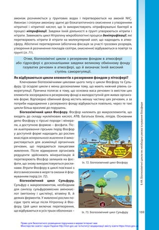 169
амоніак розчиняється у ґрунтових водах і перетворюється на амоній NH4
+
.
Амоніак і сполуки амоніаку здатні до біокаталітичного окиснення з утворенням
нітратної і нітритної кислот, що їх використовують нітрифікувальні бактерії в
процесі нітрифікації. Завдяки їхній діяльності в ґрунті утворюються нітрити і
нітрати. Замикають цикл Нітрогену мікробіологічні процеси денітрифікації, які
перетворюють нітрити й нітрати на молекулярний азот, що надходить в атмо­
сферу. Абіотичні перетворення (абіотична фіксація за участі грозових розрядів,
утворення й розчинення покладів селітри, окиснення) відбуваються в повітрі та
ґрунті (іл. 71).
Отже, біогеохімічні цикли з резервним фондом в атмосфері
або гідросфері є досконалішими завдяки великому обмінному фонду
газуватих речовин в атмосфері, що й визначає їхній високий
ступінь саморегуляції.
Як відбуваються цикли елементів з резервним фондом у літосфері?
Ключовими біогеохімічними циклами цього типу є цикли Фосфору та Суль-
фуру. Ці осадові цикли є менш досконалими тому, що мають нижчий рівень са-
морегуляції. Причина полягає в тому, що основна маса речовин із вмістом цих
елементів зосереджена в резервному фонді в малодоступній для живих організ-
мів формі. Відповідно обмінний фонд містить меншу частину цих речовин, а за
потреби надходження з резервного фонду відбувається повільно, через те такі
цикли більш вразливі до порушень.
Біогеохімічний цикл Фосфору. Фосфор належить до макроелементів, що
входять до складу нуклеїнових кислот, АТФ, багатьох білків, ліпідів. Основним
депо Фосфору є гірські породи і мінера-
ли, а доступною формою – фосфати. Піс-
ля вивітрювання гірських порід Фосфор
у доступній формі надходить до рослин
внаслідок мінерального живлення й вико-
ристовується для асиміляції органічних
речовин, що передаються ланцюгами
живлення. Після відмирання організмів
редуценти здійснюють мінералізацію й
перетворюють Фосфор залишків на фос-
фати, що знову використовуються росли-
нами. Втрати Фосфору в циклі пов’язані з
його винесенням в моря та океани й фор-
муванням порід (іл. 72).
Біогеохімічний цикл Сульфуру.
Сульфур є макроелементом, необхідним
для синтезу сульфуровмісних амінокис-
лот (метіоніну і цистеїну), вітаміну В1 й
деяких ферментів. У живленні рослин по-
сідає третє місце після Нітрогену й Фос-
фору. Цей цикл включає перетворення,
що відбуваються в усіх трьох оболонках –
§
44.
Біогеохімічні
цикли
як
необхідна
умова
існування
біосфери
Іл. 72. Біогеохімічний цикл Фосфору
Іл. 73. Біогеохімічний цикл Сульфуру
Фіто­
планктон
Втрати РО4
3–
на великих глибинах
РО4
3–
РО4
3–
Мінера­
лізація
Анаеробні
бактерії
Гетеротрофні бактерії
Викидзі
стокомвокеан
Зоо­
планктон
Руди
Мінера­лізація
Осад, відходи
тварин, мертві
організми
Гуано
SO2
SO2
H2S
H2S
SO4
2–
SO4
2–
Право для безоплатного розміщення підручника в мережі Інтернет має
Міністерство освіти і науки України http://mon.gov.ua/ та Інститут модернізації змісту освіти https://imzo.gov.ua
 