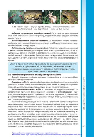197
§
51.
Антропічний
вплив
на
біорізноманіття
Надмірна експлуатація природних ресурсів. За останнє тисячоліття площа
лісів Землі зменшилася майже на третину, скоротилися рибні ресурси, зникають
родючі ґрунти.
Швидке зростання кількості населення. За прогнозами вчених, через ви-
сокі темпи росту кількості населення на планеті в найближчі 30 років воно стано-
витиме близько 10 млрд людей.
Зміна клімату й глобальне потепління. Кліматичні моделі показують, що
в XXI ст. середня температура поверхні Землі може підвищитися на 1,1 – 6,4 °C,
що призведе до змін у кількості та розподілі атмосферних опадів, танення льодо-
виків Гренландії та Антарктики. Внаслідок цього можуть почастішати повені, по-
сухи, урагани, знизяться різноманітність та врожайність сільськогосподарських
культур.
Отже, антропічний вплив призводить до зменшення біорізноманіття
внаслідок руйнування місць існування, збільшення частки
чужорідних видів, зміни клімату, надмірної експлуатації ресурсів,
зростання кількості населення.
Які наслідки антропічного впливу на біорізноманіття?
Діяльність людини серйозно порушила стан довкілля, в т. ч. катастрофічно
вплинула на біорізноманіття.
Зникнення видів. За оцінками фахівців, за останні декілька століть внаслідок
діяльності людини темпи зникнення видів зросли майже в 1 000 разів порівняно
зі звичайними темпами, характерними для різних етапів історії Землі.
Проблеми вселення нових видів. Встановлено, що з другої половини XX ст.
загострилися проблеми біозабруднення, пов’язані з акліматизацією (при-
стосуванням до умов нового середовища та нових угруповань й екосистем) і
реакліматизацією (переселенням організмів у місця, де вони раніше проживали,
але з різних причин зникли).
Вселення чужорідних видів часто чинить негативний вплив на аборигенні
види та природні екосистеми в цілому. Звільнившись від загрози, що над­
ходила
від хижаків у них на батьківщині, вони процвітають на нових територіях, моно-
полізують джерела їжі й відтворюються з високою швидкістю. Крім того, існує
небезпека їхньої гібридизації з корінними видами, які втрачають генетичну ін-
дивідуальність. Нині чужорідні види представляють усі таксономічні групи і за-
грожують біорізноманіттю в глобальному масштабі. Загальне число чужорідних
видів, що адаптувалися до нових умов, зросло до 500 тисяч – це вдвічі більше,
ніж 60 років тому. До найнебезпечніших видів-агресорів в Україні належать па-
цюк мандрівний, змієголов, борщівник Сосновського, ротан-головешка, гірчак
японський, рапана венозна, мнеміопсис.
Іл. 82. Інвазійні види: 1 – опунція (Opuntia stricta); 2 – китайський волохатий краб
(Eriocheir sinensis); 3 – коза (Capra hircus); 4 – жаба ага (Bufo marinus)
1 2 3 4
Право для безоплатного розміщення підручника в мережі Інтернет має
Міністерство освіти і науки України http://mon.gov.ua/ та Інститут модернізації змісту освіти https://imzo.gov.ua
 