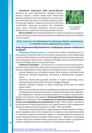 Тема
8.
СТАЛИЙ
РОЗВИТОК
ТА
РАЦІОНАЛЬНЕ
ПРИРОДОКОРИСТУВАННЯ
198
Поширення алергенних видів рослин-бур’янів.
Вве­
зення до країн різноманітної продукції рослин­
ництва є однією з причин появи низки небезпечних
бур’янів, поширення яких розглядається як загроза еко-
логічній безпеці цих країн. Так, в Україні найбільш небез-
печними для людини є: амброзія полинолиста (Ambrosia
artemisiifolia), чорнощир звичайний (Iva xanthiifolia),
полин гіркий (Artemisia absinthium), лутига розлога
(Atriplex patula), лобода біла (Chenopodium album) (іл. 83).
Масові епідемії. Втрата біорізноманіття і порушення процесів саморегуля-
ції в екосистемах стають причиною масових захворювань (наприклад, лихоман-
ки Зіка, холери).
Отже, сучасний стан біорізноманіття викликає глибоке занепокоєння
та потребує вжиття кардинальних заходів.
Чому збереження біорізноманіття є необхідною умовою стабільності
біосфери?
Збереження біорізноманіття – це сукупність заходів, спрямованих на охо-
рону окремих популяцій, видів та екосистем у цілому разом з їхнім середовищем
існування. Біорізноманіття як величезний генофонд планети є одним із дуже важ-
ливих механізмів забезпечення стабільності біосфери. Що він різноманітніший,
то легше біосфера адаптується до нових умов.
Стабільність біосфери – це властивість, заснована на високому рівні різно-
маніття живих організмів, окремі групи яких виконують різні екологічні функції.
Значення біорізноманіття для стабільності біосфери полягає в тому, що воно:
•	 виконує буферну роль у біосфері, завдяки чому зменшує негативний вплив
абіотичних чинників (наприклад, поглинання й біоакумуляція забрудню­
вачів);
•	 забезпечує біологічний кругообіг речовин та енергії (наприклад, участь
мікроорганізмів у кругообігу Нітрогену, Сульфуру, Феруму);
•	 регулює кліматичні процеси на Землі (наприклад, вплив лісів на водний
баланс Землі);
•	 бере участь у запобіганні масовим захворюванням (зменшення біорізноманіття
супроводжується збільшенням кількості тварин-носіїв небезпечних інфекцій).
Для збереження і використання біорізноманіття в інтересах теперішнього і
майбутнього поколінь було прийнято Конвенцію ООН про охорону біорізнома­
ніття (Ріо-де-Жанейро, 1992) і Всеєвропейську стратегію збереження біоло­
гічного та ландшафтного різноманіття (Софія, 1995). Основні положення
цих документів в Україні реалізуються на засадах Концепції Загальнодержавної
програми збереження біорізноманіття на 2005 – 2025 роки (2004).
Основниминапрямамидіяльностіщодозбереженнябіорізноманіттяє:збере-
ження природних екосистем та оздоровлення агроекосистем; збереження видів
та популяцій; створення екологічної мережі та природоохоронних документів;
новий оселищний підхід до охорони біорізноманіття – збереження природних
оселищ, тобто місць існування видів, що дає змогу зберегти види, їх угруповання
й умови, необхідні для їхнього виживання та нормального розвитку.
Іл. 83. Амброзія
полинолиста
Право для безоплатного розміщення підручника в мережі Інтернет має
Міністерство освіти і науки України http://mon.gov.ua/ та Інститут модернізації змісту освіти https://imzo.gov.ua
 