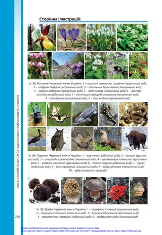 Тема
8.
СТАЛИЙ
РОЗВИТОК
ТА
РАЦІОНАЛЬНЕ
ПРИРОДОКОРИСТУВАННЯ
208
Іл. 90. Гриби Червоної книги України: 1 – трюфель їстівний (зникаючий вид);
2 – зморшок степовий (рідкісний вид); 3 – боровик бронзовий (вразливий вид);
4 – решіточник червоний (рідкісний вид); 5 – модринова губка (зниклий вид)
3
1 2 4 5
3
1 2 4 5
6 7 8 9 10
	 Сторінка ілюстрацій
1 2 3 4
5 6 7 8 9
Іл. 88. Рослини Червоної книги України: 1 – зозулині черевички справжні (вразливий вид);
2 – шафран Гейфеля (неоцінений вид); 3 – підсніжник білосніжний (неоцінений вид);
4 – цибуля ведмежа (неоцінений вид); 5 – лілія лісова (неоцінений вид); 6 – айстра
альпійська (рідкісний вид); 7 – місячниця (лунарія) оживаюча (неоцінений вид);
8 – сон лучний (неоцінений вид); 9 – тис ягідний (вразливий вид)
Іл. 89. Тварини Червоної книги України: 1 – жук-олень (рідкісний вид); 2 – махаон (вразли-
вий вид); 3 – стерлядь прісноводна (зникаючий вид); 4 – саламандра плямиста (вразливий
вид); 5 – мідянка звичайна (вразливий вид); 6 – лелека чорний (рідкісний вид); 7 – пугач
(рідкісний вид); 8 – їжак вухастий (зникаючий вид); 9 – видра річкова (неоцінений вид);
10 – зубр (зниклий у природі)
Право для безоплатного розміщення підручника в мережі Інтернет має
Міністерство освіти і науки України http://mon.gov.ua/ та Інститут модернізації змісту освіти https://imzo.gov.ua
 