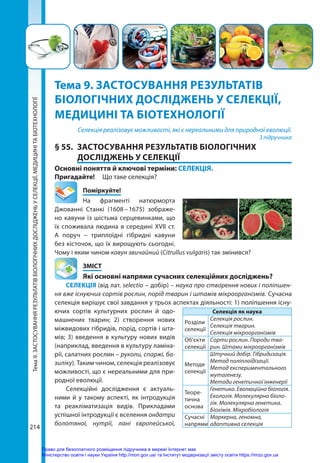 Тема
9.
ЗАСТОСУВАННЯ
РЕЗУЛЬТАТІВ
БІОЛОГІЧНИХ
ДОСЛІДЖЕНЬ
У
СЕЛЕКЦІЇ,
МЕДИЦИНІ
ТА
БІОТЕХНОЛОГІЇ
214
214
Тема 9. ЗАСТОСУВАННЯ РЕЗУЛЬТАТІВ
БІОЛОГІЧНИХ ДОСЛІДЖЕНЬ У СЕЛЕКЦІЇ,
МЕДИЦИНІ ТА БІОТЕХНОЛОГІЇ
Селекція реалізовує можливості, які є нереальними для природної еволюції.
З підручника
§ 55.	 ЗАСТОСУВАННЯ РЕЗУЛЬТАТІВ БІОЛОГІЧНИХ
ДОСЛІДЖЕНЬ У СЕЛЕКЦІЇ
Основні поняття й ключові терміни: СЕЛЕКЦІЯ.
Пригадайте! 	 Що таке селекція?
	Поміркуйте!
На фрагменті натюрморта
Джованні Станкі (1608 
– 
1675) зображе-
но кавуни із шістьма серцевинками, що
їх споживала людина в середині XVII ст.
А поруч – триплоїдні гібридні кавуни
без кісточок, що їх вирощують сьогодні.
Чому і яким чином кавун звичайний (Citrullus vulgaris) так змінився?
	ЗМІСТ
	 Які основні напрями сучасних селекційних досліджень?
СЕЛЕКЦІЯ (від лат. selectio – добір) – наука про створення нових і поліпшен-
ня вже існуючих сортів рослин, порід тварин і штамів мікроорганізмів. Сучасна
селекція вирішує свої завдання у трьох аспектах діяльності: 1) поліпшення існу-
ючих сортів культурних рослин й одо-
машнених тварин; 2) створення нових
міжвидових гібридів, порід, сортів і шта-
мів; 3) введення в культуру нових видів
(наприклад, введення в культуру ламіна-
рії, салатних рослин – руколи, спаржі, ба-
зиліку). Таким чином, селекція реалізовує
можливості, що є нереальними для при-
родної еволюції.
Селекційні дослідження є актуаль-
ними й у такому аспекті, як інтродукція
та реакліматизація видів. Прикладами
успішної інтродукції є вселення ондатри
болотяної, нутрії, лані європейської,
Селекція як наука
Розділи
селекції
Селекція рослин.
Селекція тварин.
Селекція мікроорганізмів
Об’єкти
селекції
Сорти рослин. Породи тва-
рин. Штами мікроорганізмів
Методи
селекції
Штучний добір. Гібридизація.
Метод поліплоїдізації.
Метод експериментального
мутагенезу.
Методи генетичної інженерії
Теоре-
тична
основа
Генетика. Еволюційна біологія.
Екологія. Молекулярна біо­ло­
гія. Молекулярна генетика.
Біохімія. Мікробіологія
Сучасні
напрями
Маркерна, геномна,
адаптивна селекція
Право для безоплатного розміщення підручника в мережі Інтернет має
Міністерство освіти і науки України http://mon.gov.ua/ та Інститут модернізації змісту освіти https://imzo.gov.ua
 