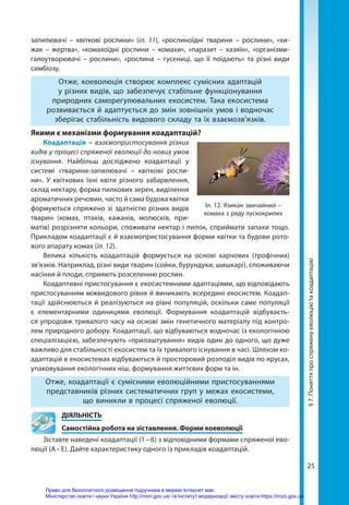 25
запилювачі – квіткові рослини» (іл. 11), «рослиноїдні тварини – рослини», «хи-
жак – жертва», «комахоїдні рослини – комахи», «паразит – хазяїн», «організми-­
галоутворювачі – рослини», «рослина – гусениці, що її поїдають» та різні види
симбіозу.
Отже, коеволюція створює комплекс сумісних адаптацій
у різних видів, що забезпечує стабільне функціонування
природних саморегулювальних екосистем. Така екосистема
розвивається й адаптується до змін зовнішніх умов і водночас
зберігає стабільність видового складу та їх взаємозв’язків.
Якими є механізми формування коадаптацій?
Коадаптація – взаємопристосування різних
видів у процесі спряженої еволюції до нових умов
існування. Найбільш досліджено коадаптації у
системі «тварини-запилювачі – квіткові росли-
ни». У квіткових їхні квіти різного забарвлення,
склад нектару, форма пилкових зерен, виділення
ароматичних речовин, часто й сама будова квітки
формуються спряжено зі здатністю різних видів
тварин (комах, птахів, кажанів, молюсків, при-
матів) розрізняти кольори, споживати нектар і пилок, сприймати запахи тощо.
Прикладом коадаптації є й взаємопристосування форми квітки та будови рото-
вого апарату комах (іл. 12).
Велика кількість коадаптацій формується на основі харчових (трофічних)
зв’язків. Наприклад, різні види тварин (сойки, бурундуки, шишкарі), споживаючи
насіння й плоди, сприяють розселенню рослин.
Коадаптивні пристосування є екосистемними адаптаціями, що відповідають
пристосуванням міжвидового рівня й виникають всередині екосистем. Коадап-
тації здійснюються й реалізуються на рівні популяцій, оскільки саме популяції
є елементарними одиницями еволюції. Формування коадаптацій відбуваєть-
ся упродовж тривалого часу на основі змін генетичного матеріалу під контро-
лем природного добору. Коадаптації, що відбуваються водночас із екологічною
спеціалізацією, забезпечують «прилаштування» видів один до одного, що дуже
важливо для стабільності екосистем та їх тривалого існування в часі. Шляхом ко-
адаптацій в екосистемах відбуваються й просторовий розподіл видів по ярусах,
упаковування екологічних ніш, формування життєвих форм та ін.
Отже, коадаптації є сумісними еволюційними пристосуваннями
представників різних систематичних груп у межах екосистеми,
що виникли в процесі спряженої еволюції.
	ДІЯЛЬНІСТЬ
	 Самостійна робота на зіставлення. Форми коеволюції
Зіставте наведені коадаптації (1 – 6) з відповідними формами спряженої ево-
люції (А – Е). Дайте характеристику одного із прикладів коадаптацій.
Іл. 12. Язикан звичайний –
комаха з ряду лускокрилих
§
7.
Поняття
про
спряжену
еволюцію
та
коадаптацію
Право для безоплатного розміщення підручника в мережі Інтернет має
Міністерство освіти і науки України http://mon.gov.ua/ та Інститут модернізації змісту освіти https://imzo.gov.ua
 