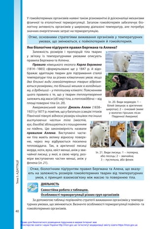 Тема
5.
АДАПТАЦІЇ
40
У гомойотермних організмів наявні також різноманітні й досконаліші механізми
фізичної та етологічної терморегуляції. Загалом гомойотермія забезпечує біо-
логічну активність організмів у широкому діапазоні температур, але потребує
значних енергетичних затрат на терморегуляцію.
Отже, основними стратегіями виживання організмів у температурних
умовах, що змінюються, є пойкілотермія й гомойотермія.
Яке біологічне підґрунтя правил Бергмана та Аллена?
Залежність розмірів і пропорцій тіла тварин
у зв’язку із температурними умовами описують
правила Бергмана та Аллена.
Правило німецького еколога Карла Бергмана
(1814 
– 
1865) сформульоване ще у 1847 р. й відо-
бражає адаптацію тварин для підтримання сталої
температури тіла за різних кліматичних умов: якщо
два близькі види гомойотермних тварин відрізня-
ються розмірами, то більший мешкає в холоднішо-
му, а дрібніший – у теплішому кліматі. Поясненням
цього правила є те, що у тварин теплоутворення
залежить від маси (об’єму) тіла, а тепловіддача − від
площі поверхні тіла (іл. 20).
Американський зоолог Джоель Аллен (1838–
1921) у 1877 р. помітив, що у багатьох ссавців і птахів
Північної півкулі відносні розміри кінцівок та інших
виступаючих частин тіла (хвостів,
вух, дзьобів) збільшуються з поширенням
на південь. Цю закономірність назвали
правилом Аллена. Виступаючі части-
ни тіла мають велику відносну поверх-
ню, через яку відбувається посилена
тепловіддача. Так, в арктичної лисиці
морда, ноги, вуха, хвіст менші, аніж у зви-
чайної лисиці, у якої, в свою чергу, роз-
міри виступаючих частин менші, аніж у
фенека (іл. 21).
Отже, біологічним підґрунтям правил Бергмана та Алена, що вказу-
ють на залежність розмірів гомойотермних тварин від температурних
умов, є принцип взаємозв’язку між масою та поверхнею тіла.
	ДІЯЛЬНІСТЬ
	 Самостійна робота з таблицею.
	 Особливості терморегуляції різних груп організмів
За допомогою таблиці порівняйте стратегії виживання організмів у темпера-
турних умовах, що змінюються. Визначте особливості терморегуляції пойкіло- та
гомойотермних організмів.
Іл. 20. Види ведмедів: 1 –
білий (мешкає в арктичних
широтах); 2 – очковий (живе
у вологих гірських лісах
Південної Америки)
1
2
Іл. 21. Види лисиць: 1 – полярна,
або песець; 2 – звичайна;
3 – пустельна, або фенек
1 2 3
Право для безоплатного розміщення підручника в мережі Інтернет має
Міністерство освіти і науки України http://mon.gov.ua/ та Інститут модернізації змісту освіти https://imzo.gov.ua
 