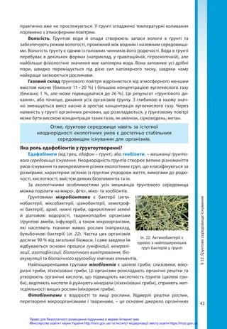 43
практично вже не простежуються. У ґрунті згладжено температурні коливання
порівняно з атмосферним повітрям.
Вологість. Ґрунтові води й опади створюють запаси вологи в ґрунті та
забезпечують режим вологості, проміжний між водним і наземним середовища-
ми. Вологість ґрунту є одним із головних чинників його родючості. Вода в ґрунті
перебуває в декількох формах (наприклад, у гравітаційній, гігроскопічній), але
найбільше фізіологічне значення має капілярна вода. Вона заповнює усі дрібні
пори, швидко переміщується під дією сил капілярного тиску, завдяки чому
найкраще засвоюється рослинами.
Газовий склад ґрунтового повітря відрізняється від атмосферного меншим
вмістом кисню (близько 11 – 20 %) і більшою концентрацією вуглекислого газу
(близько 1 %, але може підвищуватися до 26 %). Це результат «ґрунтового ди-
хання», або точніше, дихання усіх організмів ґрунту. З глибиною в ньому знач-
но зменшується вміст кисню й зростає концентрація вуглекислого газу. Через
наявність у ґрунті органічних речовин, що розкладаються, у ґрунтовому повітрі
може бути високою концентрація таких газів, як амоніак, сірководень, метан.
Отже, ґрунтове середовище навіть за істотної
неоднорідності екологічних умов є достатньо стабільним
середовищем існування для організмів.
Яка роль едафобіонтів у ґрунтоутворенні?
Едафобіонти (від грец. едафон – ґрунт), або геобіонти, – мешканці ґрунто-
вого середовища існування. Неоднорідність ґрунтів створює велике різноманіття
умов існування та виокремлення різних екологічних груп, що класифікуються за
розмірами, характером зв’язків із ґрунтом упродовж життя, вимогами до родю-
чості, кислотності, вмістом деяких біоелементів та ін.
За екологічними особливостями усіх мешканців ґрунтового середовища
можна поділити на мікро­
-, фіто-, міко- та зообіонтів.
Ґрунтовими мікробіонтами є бактерії (акти-
нобактерії, міксобактерії, ціанобактерії, хемотроф-
ні бактерії), археї, нижчі гриби, одноклітинні зелені
й діатомові водорості, твариноподібні організми
(ґрунтові амеби, інфузорії), а також мікроорганізми,
які населяють тканини живих рослин (наприклад,
бульбочкові бактерії) (іл. 22). Частка цих організмів
досягає 90 % від загальної біомаси, і саме завдяки їм
відбуваються основні процеси гуміфікації, мінералі-
зації, азотофіксації, біологічного вивітрювання, біо-
акумуляції та біологічного кругообігу хімічних елементів.
Найпоширенішими групами мікобіонтів є цвілеві гриби, слизовики, міко-
ризні гриби, ліхенізовані гриби. Ці організми розкладають органічні рештки та
утворюють органічні кислоти, що підвищують кислотність ґрунтів (цвілеві гри-
би), виділяють кислоти й руйнують мінерали (ліхенізовані гриби), сприяють жит-
тєдіяльності вищих рослин (мікоризні гриби).
Фітобіонтами є водорості та вищі рослини. Відмерлі рештки рослин,
перетворені мікроорганізмами і тваринами, – це основне джерело органічних
§
12.
Ґрунтове
середовище
існування
Іл. 22. Актинобактерії є
однією з найпоширеніших
груп бактерій у ґрунті
Право для безоплатного розміщення підручника в мережі Інтернет має
Міністерство освіти і науки України http://mon.gov.ua/ та Інститут модернізації змісту освіти https://imzo.gov.ua
 