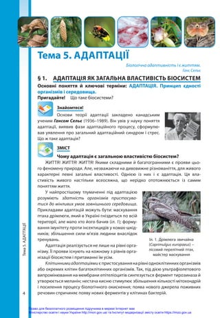 Тема
5.
АДАПТАЦІЇ
4
4
Тема
5.
АДАПТАЦІЇ
Тема 5. АДАПТАЦІЇ
Біологічна адаптивність і є життям.
Ганс Сельє
§ 1.	 АДАПТАЦІЯ ЯК ЗАГАЛЬНА ВЛАСТИВІСТЬ БІОСИСТЕМ
Основні поняття й ключові терміни: АДАПТАЦІЯ. Принцип єдності
організмів і середовища.
Пригадайте! 	 Що таке біосистеми?
	Знайомтеся!
Основи теорії адаптації закладено канадським
ученим Гансом Сельє (1936–1989). Він увів у науку поняття
адаптації, виявив фази адаптаційного процесу, сформулю-
вав уявлення про загальний адаптаційний синдром і стрес.
Що ж таке адаптація?
	ЗМІСТ
	 Чому адаптація є загальною властивістю біосистем?
ЖИТТЯ! ЖИТТЯ! ЖИТТЯ! Якими складними й багатогранними є прояви цьо-
го феномену природи. Але, незважаючи на дивовижне різноманіття, для живого
характерні певні загальні властивості. Однією із них і є адаптація. Ця вла­
стивість живого настільки всеосяжна, що нерідко ототожнюється із самим
поняттям життя.
У найпростішому тлумаченні під адаптацією
розуміють здатність організмів пристосува-
тися до мінливих умов зовнішнього середовища.
Прикладами адаптацій можуть бути: маскування
птаха дрімлюги, який в Україні гніздиться по всій
території, але мало хто його бачив (іл. 1); форму-
вання імунітету проти інсектицидів у комах-шкід-
ників; збільшення сили м’язів людини внаслідок
тренувань.
Адаптація реалізується не лише на рівні орга-
нізму. Її прояви існують на кожному з рівнів орга-
нізації біосистем і притаманні їм усім.
Клітиннимиадаптаціямиєпристосуваннянарівніодноклітиннихорганізмів
або окремих клітин багатоклітинних організмів. Так, під дією ультрафіолетового
випромінювання на мембрани епітеліоцитів синтезується фермент тирозиназа й
утворюється меланін; нестача кисню стимулює збільшення кількості мітохондрій
і посилення процесу біологічного окиснення; поява нового джерела поживних
речовин спричиняє появу нових ферментів у клітинах бактерій.
Іл. 1. Дрімлюга звичайна
(Caprimulgus europaeus) –
лісовий перелітний птах,
майстер маскування
Право для безоплатного розміщення підручника в мережі Інтернет має
Міністерство освіти і науки України http://mon.gov.ua/ та Інститут модернізації змісту освіти https://imzo.gov.ua
 