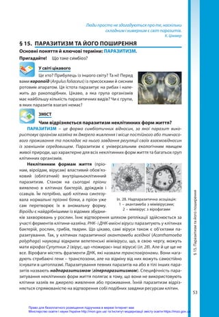53
Люди просто не здогадуються про те, наскільки
складним і химерним є світ паразитів.
К. Ціммер
§ 15.	 ПАРАЗИТИЗМ ТА ЙОГО ПОШИРЕННЯ
Основні поняття й ключові терміни: ПАРАЗИТИЗМ.
Пригадайте! 	 Що таке симбіоз?
	 У світі цікавого
Це хто? Прибулець із іншого світу? Та ні! Перед
вами коропоїд (Argulus foliaceus) із присосками й сисним
ротовим апаратом. Ця істота паразитує на рибах і нале-
жить до ракоподібних. Цікаво, а яка група організмів
має найбільшу кількість паразитичних видів? Чи є групи,
в яких паразитів взагалі немає?
	ЗМІСТ
	 Чим відрізняється паразитизм неклітинних форм життя?
ПАРАЗИТИЗМ – це форма симбіотичних відносин, за якої паразит вико-
ристовує організм хазяїна як джерело живлення і місце постійного або тимчасо-
вого проживання та покладає на нього завдання регуляції своїх взаємовідносин
із зовнішнім середовищем. Паразитизм є універсальним екологічним явищем
живої природи, що характерне для всіх неклітинних форм життя та багатьох груп
клітинних організмів.
Неклітинним формам життя (пріо­
нам, віроїдам, вірусам) властивий обов’яз-
ковий (облігатний) внутрішньоклітинний
паразитизм. Станом на сьогодні пріони
виявлено в клітинах бактерій, дріжджів і
ссавців. Їм потрібно, щоб клітина синтезу-
вала нормальні пріонні білки, а пріон уже
сам перетворює їх в аномальну форму.
Віроїди є найдрібнішими із відомих збудни-
ків захворювань у рослин. Їхнє відтворення шляхом реплікації здійснюється за
участі ферментів клітини-хазяїна. РНК- і ДНК-вмісні віруси паразитують у клітинах
бактерій, рослин, грибів, тварин. Що цікаво, самі віруси також є об’єктами па-
разитування. Так, у клітинах паразитичної акантамеби всеїдної (Acanthamoeba
polyphaga) науковці відкрили велетенські мімівіруси, що, в свою чергу, можуть
мати вірофаг Супутник 2 (вірус, що «пожирає» інші віруси) (іл. 28). Але й це ще не
все. Вірофаги містять фрагменти ДНК, які назвали трансповіронами. Вони нага-
дують стрибаючі гени – транспозони, але на відміну від них можуть самостійно
існувати в цитоплазмі. Паразитування певних паразитів на або в тілі інших пара-
зитів назвають надпаразитизмом (гіперпаразитизмом). Специфічність пара-
зитування неклітинних форм життя полягає в тому, що вони не використовують
клітини хазяїв як джерело живлення або проживання. Їхній паразитизм відріз-
няється спрямованістю на відтворення собі подібних завдяки ресурсам клітин.
Іл. 28. Надпаразитична асоціація:
1 – акантамеба з мімівірусами;
2 – мімівірус з вірофагами
1 2
§
15.
Паразитизм
та
його
поширення
Право для безоплатного розміщення підручника в мережі Інтернет має
Міністерство освіти і науки України http://mon.gov.ua/ та Інститут модернізації змісту освіти https://imzo.gov.ua
 