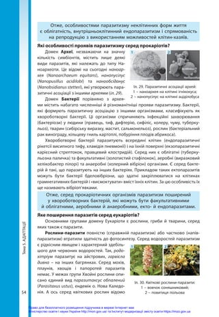 Тема
5.
АДАПТАЦІЇ
54
Отже, особливостями паразитизму неклітинних форм життя
є облігатність, внутрішньоклітинний ендопаразитизм і спрямованість
на репродукцію з використанням можливостей клітин-хазяїв.
Які особливості проявів паразитизму серед прокаріотів?
Домен Археї, незважаючи на значну
кількість симбіонтів, містить лише деякі
види паразитів, які належать до типу На-
ноархеоти. Це відомі на сьогодні наноар-
хея (Nanoarchaeum equitans), нанопусілус
(Nanopusillus acidilobi) та нанообсіданус
(Nanobsidianus stetteri), які утворюють пара-
зитичні асоціації з іншими археями (іл. 29).
Домен Бактерії порівняно з архея-
ми містить набагато численніші й різноманітніші прояви паразитизму. Бактерії,
які формують паразитичну асоціацію з іншими організмами, класифікують як
хвороботворні бактерії. Ці організми спричиняють інфекційні захворювання
(бактеріози) у людини (правець, тиф, дифтерію, сифіліс, холеру, чуму, туберку-
льоз), тварин (сибірську виразку, мастит, сальмонельоз), рослин (бактеріальний
рак винограду, кільцеву гниль картоплі, побуріння плодів абрикоса).
Хвороботворні бактерії паразитують всередині клітин (ендопаразитичні
рікетсії висипного тифу, хламідія пневмонії) і на їхній поверхні (екзопаразитичні
карієсний стрептокок, правцевий клостридій). Серед них є облігатні (туберку-
льозна паличка) та факультативні (золотистий стафілокок), аеробні (виразковий
хелікобактер пілорі) та анаеробні (холерний вібріон) організми. Є серед бакте-
рій й такі, що паразитують на інших бактеріях. Прикладом таких ектопаразитів
можуть бути бактерії бделовібріони, що здатні закріплюватися на клітинах
грам­негативних бактерій і «висмоктувати» вміст їхніх клітин. За цю особливість їх
ще називають вібріоп’явками.
Отже, серед прокаріотичних організмів паразитизм поширений
у хвороботворних бактерій, які можуть бути факультативними
й облігатними, аеробними й анаеробними, екто- й ендопаразитами.
Яке поширення паразитів серед еукаріотів?
Основними групами домену Еукаріоти є рослини, гриби й тварини, серед
яких також є паразити.
Рослини-паразити повністю (справжній паразитизм) або частково (напів­
паразитизм) втратили здатність до фотосинтезу. Серед водоростей паразитизм
є рідкісним явищем і характерний здебіль-
шого для червоних водоростей. Так, родо-
хітріум паразитує на айстрових, гарвієла
дивна – на інших багрянках. Серед мохів,
плаунів, хвощів і папоротей паразитів
немає. У межах групи Хвойні рослини опи-
сано єдиний вид паразитаксус обпалений
(Parasitaxus ustus), ендемік о. Нова Каледо-
нія. А ось серед квіткових рослин відомо
Іл. 29. Паразитичні асоціації архей:
1 – наноархея на клітині ігнікокуса;
2 – нанопусілус на клітині аціділобуса
1 2
1 2
Іл. 30. Квіткові рослини-паразити:
1 – вовчок соняшниковий;
2 – повитиця польова
Право для безоплатного розміщення підручника в мережі Інтернет має
Міністерство освіти і науки України http://mon.gov.ua/ та Інститут модернізації змісту освіти https://imzo.gov.ua
 