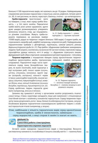 55
близько 4 100 паразитичних видів, які належать аж до 19 родин. Найвідомішими
справжніми рослинами-паразитами є повитиця, вовчок, рафлезія, петрів хрест
(іл. 30). А такі рослини, як омела, перестріч, дзвінець, очанка – це напівпаразити.
Гриби-паразити пристосовані жити
на поверхні, а інші, яких серед грибів біль-
шість, – у тілі свого хазяїна. Паразитичні
гриби мають різні шляхи зараження, здатні
дуже швидко розмножуватися, утворюють
величезну кількість спор, що поширюють-
ся різними способами. Живуть гриби-па-
разити переважно на рослинах (майже
10 000 видів), рідше на тваринах і людині (близько 1000 видів). Є водяні гриби, які
спричиняють хвороби риб, амфібій (наприклад, сапролегнія риб). Найвідомішими
паразитичними грибами є фітофтора, трутовики, сажкові іржасті, ріжкові,
борошнисторосяні гриби (іл. 31). Ряд грибів є збудниками грибкових захворювань
людини. Гриб ахоріон, оселяючись на волосистій частині голови, спричиняє паршу,
трихофітон уражує волосся, нігті й шкіру і є збудником стригучого лишаю.
Дріжджовий гриб сідіум спричиняє захворювання ротової порожнини – пліснявку.
Тварини-паразити є поширеним явищем серед одноклітинних тварино­
подібних (дизентерійна амеба, трипаносоми, лейшманії, лямблії, грегарини,
споровики). Паразитичні види часто трап­
ляються серед таких безхребетних тва-
рин, як жалкі (поліподій, який паразитує в
ікрі осетрових риб), плоскі черви (сисуни,
ціп’яки, стьожаки, ехінококи), круглі чер-
ви (аскариди, гострики), кільчасті черви
(п’явки), ракоподібні (коропоїди, язикові мо-
криці, сакуліна), павукоподібні (кліщі), кома-
хи (блохи, воші, галиці) й молюски (личинки
беззубок, перлівниць, трихотропіси) (іл. 32).
Серед хребетних тварин паразитів дуже
мало (наприклад, міксини й міноги).
Залежно від тривалості зв’язку з організмом хазяїна розрізняють тимча-
совий (кліщі, п’явки, коропоїди нападають лише для живлення) і стаціонарний
(постійний контакт з хазяїном у гельмінтів) паразитизм. Серед тваринних пара-
зитів також розрізняють екто- (воші, блохи) й ендопаразитів (гострики, сисуни).
Особ­
ливою формою паразитичних взаємовідносин хребетних тварин є гніздо-
вий паразитизм птахів (наприклад, у зозуль).
Отже, найбільшою є кількість паразитичних видів серед одноклітинних
твариноподібних, грибів й членистоногих, найменшою –
серед водоростей, а вищі спорові й хвойні їх взагалі не мають.
	ДІЯЛЬНІСТЬ
	 Самостійна робота з ілюстраціями.
	 Характеристика окремих паразитів
Зіставте назви наведених паразитичних видів з ілюстраціями. Визначте
си­стематичну належність та особливості їхнього способу життя: 1 – паличка Коха
1 2
Іл. 31. Гриби-паразити: 1 – ріжки
пурпурові; 2 – трутовик лускатий
1 2
Іл. 32. Тварини-паразити:
1 – личинка-глохідій молюска
беззубки; 2 – язикова мокриця в роті
рожевого люціана §
15.
Паразитизм
та
його
поширення
Право для безоплатного розміщення підручника в мережі Інтернет має
Міністерство освіти і науки України http://mon.gov.ua/ та Інститут модернізації змісту освіти https://imzo.gov.ua
 