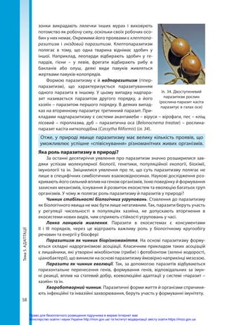 Тема
5.
АДАПТАЦІЇ
58
зонки викрадають лялечки інших мурах і виховують
потомство як робочу силу, оскільки своїх робочих осо-
бин у них немає. Окремими його проявами є клептопа-
разитизм і гніздовий паразитизм. Клептопаразитизм
полягає в тому, що одна тварина віднімає здобич у
іншої. Наприклад, леопарди відбирають здобич у ге-
пардів, гієни – у левів, фрегати відбирають рибу в
бакланів або олуш, деякі види павуків живляться
жертвами павуків-колопрядів.
Формою паразитизму є й надпаразитизм (гіпер-
паразитизм), що характеризується паразитуванням
одного паразита в іншому. У цьому випадку надпара-
зит називається паразитом другого порядку, а його
хазяїн – паразитом першого порядку. В деяких випад-
ках на вторинному паразитує третинний паразит. При-
кладами надпаразитизму є системи акантамеби – віруси – вірофаги, пес – кліщ
лісовий – піроплазма, дуб – паразитична оса (Belonocnema treatae) – рослина-
паразит касіта ниткоподібна (Cassytha filiformis) (іл. 34).
Отже, у природі явище паразитизму має велику кількість проявів, що
уможливлює успішне «співіснування» різноманітних живих організмів.
Яка роль паразитизму в природі?
За останні десятиріччя уявлення про паразитизм значно розширилися зав-
дяки успіхам молекулярної біології, генетики, популяційної екології, біохімії,
імунології та ін. Зміцнилися уявлення про те, що суть паразитизму полягає не
лише в специфічних симбіотичних взаємовідносинах. Наукові дослідження роз-
кривають його сильний вплив на геном організмів, їхню поведінку й формування
захисних механізмів, існування й розвиток екосистем та еволюцію багатьох груп
організмів. У чому ж полягає роль паразитизму й паразитів у природі?
Чинник стабільності біологічних угруповань. Ставлення до паразитизму
як біологічного явища не має бути лише негативним. Так, паразити беруть участь
у регуляції чисельності в популяціях хазяїна, не допускають вторгнення в
екосистеми нових видів, чим сприяють стійкості угруповань у часі.
Ланка ланцюгів живлення. Паразити в екосистемах є консументами
ІІ і ІІІ порядків, через це відіграють важливу роль у біологічному кругообігу
речовин та енергії у біосфері
Паразитизм як чинник біорізноманіття. На основі паразитизму форму-
ються складні надорганізмові асоціації. Класичним прикладом таких асоціацій
є лишайники, які утворені мікобіонтом (гриби) і фотобіонтом (зелені водорості,
ціанобактерії), що виникли на основі паразитизму ймовірно наприкінці мезозою.
Паразити як чинник еволюції. Так, за допомогою паразитів відбуваються
гори­
зонтальне перенесення генів, формування генів, відповідальних за імун-
ні реакції, вплив на статевий добір, коеволюційні адаптації у системі «паразит –
хазяїн» та ін.
Хвороботворний чинник. Паразитичні форми життя й організми спричиня-
ють інфекційні та інвазійні захворювання, беруть участь у формуванні імунітету.
Іл. 34. Двоступеневий
паразитизм рослин
(рослина-паразит касіта
паразитує в галах оси)
Право для безоплатного розміщення підручника в мережі Інтернет має
Міністерство освіти і науки України http://mon.gov.ua/ та Інститут модернізації змісту освіти https://imzo.gov.ua
 
