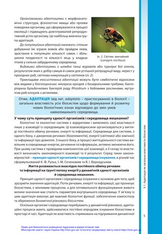 5
§
1.
Адаптація
як
загальна
властивість
біосистем
Організмовими адаптаціями є морфоанато-
мічні структури, фізіологічні явища або прояви
поведінки організму, що сформувалися в процесі
еволюції і підвищують довготривалий репродук-
тивний успіх організму. Це найбільш вивчена гру-
па адаптацій.
До популяційних адаптацій належать: спільне
добування їжі зграєю вовків або прайдом левів,
зростання в популяціях кількості самок і збіль-
шення плодючості та кількості яєць у кладках
птахів у сильно забрудненому середовищі.
Видовими адаптаціями є шлюбні танці журавлів або турнірні бої оленів,
результатом яких є добір самців й самок для успішної репродукції виду, нерест у
прохідних риб, світлова комунікація у світляків (іл. 2).
Прикладами екосистемних адаптацій можуть бути симбіотичні відносини
між видами у біогеоценозах: мікориза орхідей з базидіальними грибами, бакте­
ріориза бульбочкових бактерій роду Rhizobium з бобовими рослинами, мутуа-
лізм риб-клоунів з актиніями.
Отже, АДАПТАЦІЯ (від лат. adaptatio – пристосування) в біології –
загальна властивість усіх біосистем щодо формування й розвитку
нових біологічних ознак відповідно до змін умов
навколишнього середовища.
У чому суть принципу єдності організмів і середовища мешкання?
Біологічні та екологічні системи є відкритими і виявляють свої властивості
лише у взаємодії із середовищем. Ці взаємовідносини організовуються у вигля-
ді постійного обміну речовин, енергії та інформації. Середовище для системи, з
одного боку, є джерелом речовин (біоелементів), енергії (світлової або хімічної)
та інформації про довкілля. З іншого боку, в процесі життєдіяльності система ви-
вільняє в середовище енергію, речовини та інформацію, активно змінюючи його.
При цьому система є провідним компонентом цієї взаємодії, а її склад та власти-
вості визначають закономірності взаємодії та її результат. Серед таких законо-
мірностей – принцип єдності організмів і середовища існування, в різний час
сформульований К. Ф. Рульє, І. М. Сеченовим та В. І. Вернадським.
Життя розвивається внаслідок постійного обміну речовин
та інформації на ґрунті потоку енергії у динамічній єдності організмів
й середовища мешкання.
Принцип єдності організмів і середовища існування є основою для того, щоб
зрозуміти значення адаптацій. Потік речовин, енергії та інформації, що пронизує
біосистеми, є мінливим процесом, а для оптимального функціонування живого
велике значення має сталість параметрів внутрішнього середовища. У зв’язку із
цим адаптація виконує дві важливі біологічні функції: забезпечення гомео­стазу
та збереження динамічної рівноваги біосистем.
Оскільки організм і середовище перебувають у динамічній рівновазі, адапта-
ційні процеси мають здійснюватися постійно впродовж існування біосистеми в
просторі й часі. Адаптація як властивість спрямована на підтримання динамічної
Іл. 2. Світляк звичайний
(Lampyris noctiluca)
Право для безоплатного розміщення підручника в мережі Інтернет має
Міністерство освіти і науки України http://mon.gov.ua/ та Інститут модернізації змісту освіти https://imzo.gov.ua
 