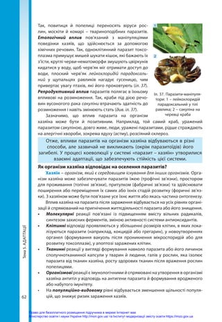 Тема
5.
АДАПТАЦІЇ
62
Так, повитиця й попелиці переносять віруси рос-
лин, москіти й комарі – твариноподібних паразитів.
Етологічний вплив пов’язаний з маніпуляціями
поведінки хазяїв, що здійснюється за допомогою
хімічних речовин. Так, одноклітинний паразит токсо­
плазма примушує мишей шукати кішок, які бажають їх
з’їсти, круглі черви-нематоморфи змушують цвіркунів
кидатися у воду, щоб черв’як міг отримати доступ до
води, плоский черв’як лейкохлоридій парадоксаль-
ний у щупальцях равликів нагадує гусеницю, чим
привертає увагу птахів, які його проковтують (іл. 37).
Репродуктивний вплив паразитів полягає в їхньому
впливові на розмноження. Так, краби під дією речо-
вин вусоногого рака сакуліни втрачають здатність до
розмноження і навіть змінюють стать (див. іл. 37).
Зазначимо, що вплив паразита на організм
хазяїна може бути й позитивним. Наприклад, той самий краб, уражений
паразитом сакуліною, довго живе, люди, уражені паразитами, рідше страждають
на алергічні хвороби, зокрема ядуху (астму), розсіяний склероз.
Отже, впливи паразитів на організм хазяїна відбуваються в різні
способи, але зазвичай не викликають (окрім паразитоїдів) його
загибелі. У процесі коеволюції у системі «паразит – хазяїн» утворилися
взаємні адаптації, що забезпечують стійкість цієї системи.
Як організм хазяїна відповідає на оселення паразитів?
Хазяїн – організм, який є середовищем існування для інших організмів. Орга-
нізм хазяїна може забезпечувати паразитів їжею (трофічні зв’язки), простором
для проживання (топічні зв’язки), притулком (фабричні зв’язки) та здійснювати
поширення або переміщення їх самих або їхніх стадій розвитку (форичні зв’яз-
ки). З хазяїном може бути пов’язане усе їхнє життя або якась частина онтогенезу.
Вплив хазяїна на паразита після зараження відбувається на усіх рівнях органі-
зації й спрямований на пригнічення життєдіяльності паразита або його знищення.
•	 Молекулярні реакції пов’язані із підвищенням вмісту вільних радикалів,
синтезом захисних ферментів, зміною активності системи антиоксидантів.
•	 Клітинні відповіді проявляються у збільшенні розмірів клітин, в яких лока-
лізуються паразити (наприклад, кокцидій або грегарин), у новоутвореннях
органел (формування вакуоль після проникнення мікроспоридій або для
розвитку токсоплазм), у апоптозі заражених клітин.
•	 Тканинні реакції у вигляді формування навколо паразита або його личинок
сполучнотканинної капсули у тварин й людини, галів у рослин, яка ізолює
паразита від тканин хазяїна, росту здорових тканин після враження рослин
попелицями.  
•	 Організмові реакції є імунологічними й спрямовані на утворення в організмі
хазяїна антитіл у відповідь на антигени паразита й формування вродженого
або набутого імунітету.
•	 На популяційно-видовому рівні відбувається зменшення щільності популя-
цій, що знижує ризик зараження хазяїв.
Іл. 37. Паразити-маніпуля-
тори: 1 – лейкохлоридій
парадоксальний у тілі
равлика; 2 – сакуліна на
черевці краба
1
2
Право для безоплатного розміщення підручника в мережі Інтернет має
Міністерство освіти і науки України http://mon.gov.ua/ та Інститут модернізації змісту освіти https://imzo.gov.ua
 