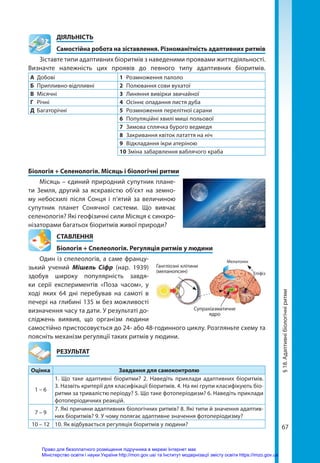 67
	ДІЯЛЬНІСТЬ
	 Самостійна робота на зіставлення. Різноманітність адаптивних ритмів
Зіставте типи адаптивних біоритмів з наведеними проявами життєдіяльності.
Визначте належність цих проявів до певного типу адаптивних біоритмів.
А	Добові 1	 Розмноження палоло
Б	Припливно-відпливні 2	 Полювання сови вухатої
В	Місячні 3	 Линяння вивірки звичайної
Г	Річні 4	 Осіннє опадання листя дуба
Д	Багаторічні 5	 Розмноження перелітної сарани
6	 Популяційні хвилі миші польової
7	 Зимова сплячка бурого ведмедя
8	 Закривання квіток латаття на ніч
9	 Відкладання ікри атеріною
10 Зміна забарвлення ваблячого краба
Біологія + Селенологія. Місяць і біологічні ритми
Місяць – єдиний природний супутник плане-
ти Земля, другий за яскравістю об’єкт на земно-
му небосхилі після Сонця і п’ятий за величиною
супутник планет Сонячної системи. Що вивчає
селенологія? Які геофізичні сили Місяця є синхро-
нізаторами багатьох біоритмів живої природи?
СТАВЛЕННЯ
Біологія + Спелеологія. Регуляція ритмів у людини
Один із спелеологів, а саме фран­
цу­
зький учений Мішель Сіфр (нар. 1939)
здобув широку популярність завдя-
ки серії експериментів «Поза часом», у
ході яких 64 дні перебував на самоті в
печері на глибині 135 м без можливості
визначення часу та дати. У результаті до-
сліджень виявив, що організм людини
самостійно пристосовується до 24- або 48-годинного циклу. Розгляньте схему та
поясніть механізм регуляції таких ритмів у людини.
	РЕЗУЛЬТАТ
Оцінка Завдання для самоконтролю
1 – 6
1. Що таке адаптивні біоритми? 2. Наведіть приклади адаптивних біоритмів.
3. Назвіть критерії для класифікації біоритмів. 4. На які групи класифікують біо-
ритми за тривалістю періоду? 5. Що таке фотоперіодизм? 6. Наведіть приклади
фотоперіодичних реакцій.
7 – 9
7. Які причини адаптивних біологічних ритмів? 8. Які типи й значення адаптив-
них біоритмів? 9. У чому полягає адаптивне значення фотоперіодизму?
10 – 12 10. Як відбувається регуляція біоритмів у людини?
Мелатонін
Супрахіазматичне
ядро
Гангліозні клітини
(меланопсин) Епіфіз
§
18.
Адаптивні
біологічні
ритми
Право для безоплатного розміщення підручника в мережі Інтернет має
Міністерство освіти і науки України http://mon.gov.ua/ та Інститут модернізації змісту освіти https://imzo.gov.ua
 