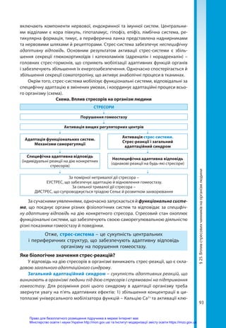 93
§
25.
Вплив
стресових
чинників
на
організм
людини
включають компоненти нервової, ендокринної та імунної систем. Центральни-
ми відділами є кора півкуль, гіпоталамус, гіпофіз, епіфіз, лімбічна система, ре-
тикулярна формація, тимус, а периферична ланка представлена наднирниками
та нервовими шляхами й рецепторами. Стрес-система забезпечує неспецифічну
адаптивну відповідь. Основним результатом активації стрес-системи є збіль-
шення секреції глюкокортикоїдів і катехоламінів (адреналін і норадреналін) –
головних стрес-гормонів, що сприяють мобілізації адаптивних функцій органів
і забезпечують збільшення їх енергозабезпечення. Одночасно спостерігається й
збільшення секреції соматотропіну, що активує анаболічні процеси в тканинах.
Окрім того, стрес-система мобілізує функціональні системи, відповідальні за
специфічну адаптацію в змінених умовах, і координує адаптаційні процеси всьо-
го організму (схема).
Схема. Вплив стресорів на організм людини
СТРЕСОРИ
↓
Порушення гомеостазу
↓
Активація вищих регуляторних центрів
↓ ↓
Адаптація функціональних систем.
Механізми саморегуляції
Активація стрес-системи.
Стрес-реакції і загальний
адаптаційний синдром
↓ ↓
Специфічна адаптивна відповідь
(індивідуальні реакції на дію конкретних
стресорів)
Неспецифічна адаптивна відповідь
(однакові реакції на будь-які стресори)
↓ ↓
За помірної нетривалої дії стресора –
ЕУСТРЕС, що забезпечує адаптацію й відновлення гомеостазу.
За сильної тривалої дії стресора –
ДИСТРЕС, що супроводжується тріадою Сельє й розвитком захворювання
За сучасними уявленнями, одночасно запускається й функціональна систе­
ма, що поєднує органи різних фізіологічних систем та відповідає за специфіч-
ну адаптивну відповідь на дію конкретного стресора. Стресовий стан охоплює
функціо­
нальні системи, що забезпечують своєю саморегулювальною діяльністю
різні показники гомеостазу й поведінки.
Отже, стрес-система – це сукупність центральних
і периферичних структур, що забезпечують адаптивну відповідь
організму на порушення гомеостазу.
Яке біологічне значення стрес-реакцій?
У відповідь на дію стресорів в організмі виникають стрес-реакції, що є скла-
довою загального адаптаційного синдрому.
Загальний адаптаційний синдром – сукупність адаптивних реакцій, що
виникають в організмі людини під дією стресорів і спрямовані на підтримання
гомеостазу. Для розуміння ролі цього синдрому в адаптації організму треба
звернути увагу на п’ять адаптивних ефектів: 1) збільшення концентрації в ци-
топлазмі універсального мобілізатора функцій – Кальцію Ca2+
та активації клю-
Право для безоплатного розміщення підручника в мережі Інтернет має
Міністерство освіти і науки України http://mon.gov.ua/ та Інститут модернізації змісту освіти https://imzo.gov.ua
 