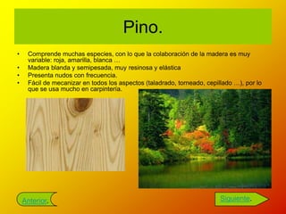 Pino.
•    Comprende muchas especies, con lo que la colaboración de la madera es muy
     variable: roja, amarilla, blanca …
•    Madera blanda y semipesada, muy resinosa y elástica
•    Presenta nudos con frecuencia.
•    Fácil de mecanizar en todos los aspectos (taladrado, torneado, cepillado …), por lo
     que se usa mucho en carpintería.




    Anterior.                                                            Siguiente.
 