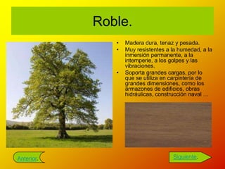 Roble.
               •   Madera dura, tenaz y pesada.
               •   Muy resistentes a la humedad, a la
                   inmersión permanente, a la
                   intemperie, a los golpes y las
                   vibraciones.
               •   Soporta grandes cargas, por lo
                   que se utiliza en carpintería de
                   grandes dimensiones, como los
                   armazones de edificios, obras
                   hidráulicas, construcción naval …




Anterior.                            Siguiente.
 