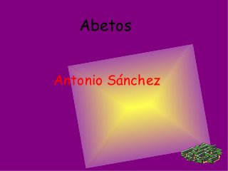 Abetos
Antonio Sánchez
 