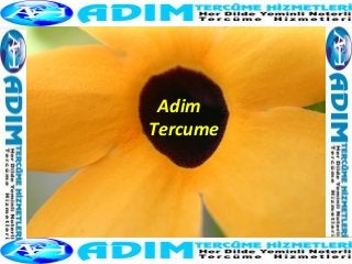 Adim 
Tercume 
 