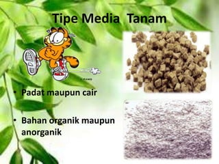 Tipe Media Tanam
• Padat maupun cair
• Bahan organik maupun
anorganik
 