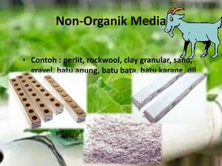 Non-Organik Media
• Contoh : perlit, rockwool, clay granular, sand,
gravel, batu apung, batu bata, batu karang, dll
 