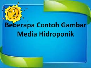 Beberapa Contoh Gambar
Media Hidroponik
 