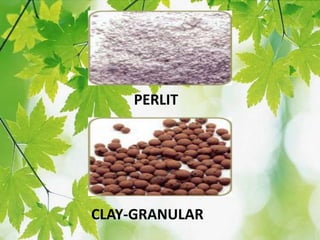 PERLIT
CLAY-GRANULAR
 
