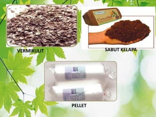 VERMIKULIT SABUT KELAPA
PELLET
 