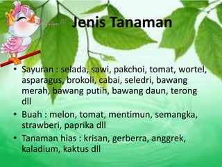 Jenis Tanaman
• Sayuran : selada, sawi, pakchoi, tomat, wortel,
asparagus, brokoli, cabai, seledri, bawang
merah, bawang putih, bawang daun, terong
dll
• Buah : melon, tomat, mentimun, semangka,
strawberi, paprika dll
• Tanaman hias : krisan, gerberra, anggrek,
kaladium, kaktus dll
 