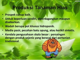 Produksi Tanaman Hias
• Prospek cukup baik.
• Untuk keperluan sendiri, diperdagangkan maupun
disebarkan.
• Wadah berupa pot khusus hidroponik.
• Media pasir, pecahan batu apung, atau kerikil sintetis.
• Kendala pengusahaan skala besar : persaingan
dengan produk sejenis yang berasal dari pertanian
tradisional.
 