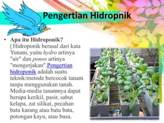 a. Pengertian Hidropnik
• Apa itu Hidroponik?
| Hidroponik berasal dari kata
Yunani, yaitu hydro artinya
"air" dan ponos artinya
"mengerjakan".Pengertian
hidroponik adalah suatu
teknik/metode bercocok tanam
tanpa menggunakan tanah.
Media-media tanamnya dapat
berupa kerikil, pasir, sabut
kelapa, zat silikat, pecahan
batu karang atau batu bata,
potongan kayu, atau busa.
 