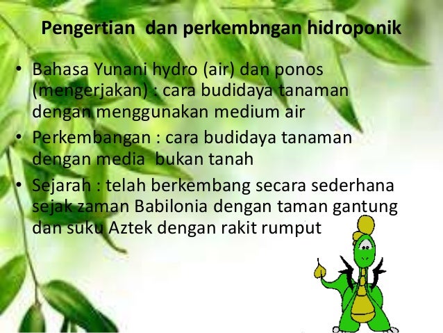 hidroponik lengkap by m nk hidroponik lengkap by m nk
