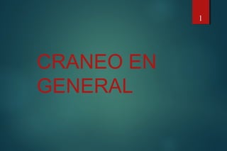 CRANEO EN
GENERAL
1
 