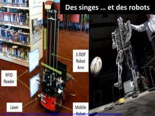 Des singes … et des robots
42
http://www.archimag.com/bibliotheque-edition/2016/06/07/alerte-robots-bibliothecaires-bibliotheques-singapour
 