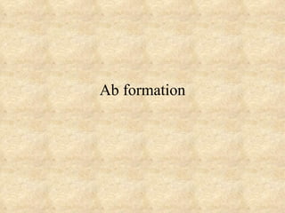 Ab formation 