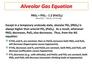 Pao2 Structure ABG , ARTERIAL BLOOD GAS | PPTX
