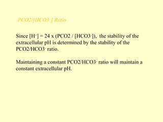 PCO2/[HCO3-
] Ratio
Since [H+
] = 24 x (PCO2 / [HCO3-
]), the stability of the
extracellular pH is determined by the stability of the
PCO2/HCO3-
ratio.
Maintaining a constant PCO2/HCO3-
ratio will maintain a
constant extracellular pH.
 
