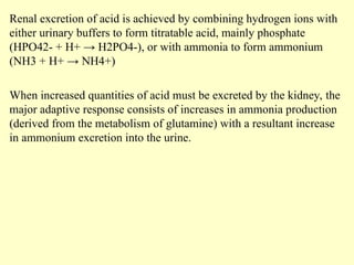 Renal excretion of acid is achieved by combining hydrogen ions with
either urinary buffers to form titratable acid, mainly phosphate
(HPO42- + H+ → H2PO4-), or with ammonia to form ammonium
(NH3 + H+ → NH4+)
When increased quantities of acid must be excreted by the kidney, the
major adaptive response consists of increases in ammonia production
(derived from the metabolism of glutamine) with a resultant increase
in ammonium excretion into the urine.
 