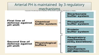 7
Arterial PH is maintained by 3 regulatory
mechanisms
04/01/2025
 