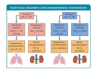 ABG.pptx Arterial Blood Gas for pediatric critical care in NICU and ...