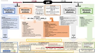 Abg Algorithm Comprehensive Guide to Arterial Blood Gas (ABG) Analysis and ...