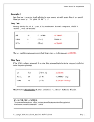 Abg basics-overview-pdf | PDF
