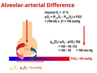 Pio2 Vs Fio2