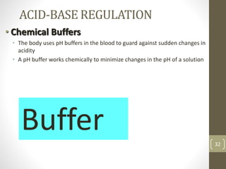 ACID BASE BALANCE & ARTERIAL BLOOD GAS ANALYSIS | PPTX