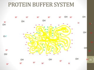 Protein Buffer Example ACID BASE BALANCE & ARTERIAL BLOOD GAS ANALYSIS | PPTX