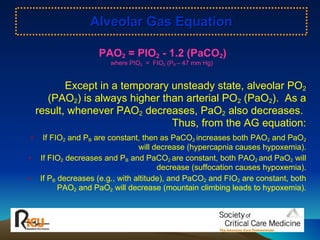 Ppo2 Acid Base Balance Abg&acid base balance | PPT