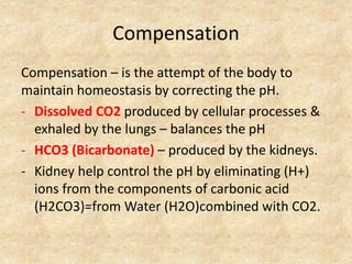 Compensation
Compensation – is the attempt of the body to
maintain homeostasis by correcting the pH.
- Dissolved CO2 produced by cellular processes &
exhaled by the lungs – balances the pH
- HCO3 (Bicarbonate) – produced by the kidneys.
- Kidney help control the pH by eliminating (H+)
ions from the components of carbonic acid
(H2CO3)=from Water (H2O)combined with CO2.
 