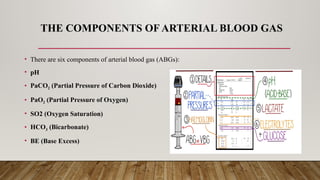 Comprehensive Guide to Arterial Blood Gas (ABG) Analysis and ...