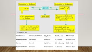 Comprehensive Guide to Arterial Blood Gas (ABG) Analysis and ...